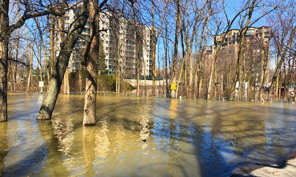 Flooded residential area with standing water after heavy rain showing the need for a flood elevation survey before permits