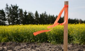Land survey cost often depends on identifying exact property boundaries using markers like this before construction